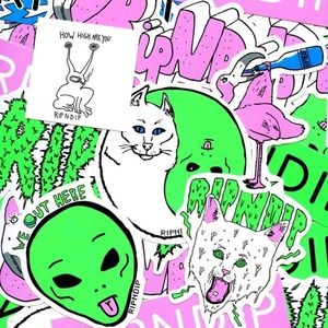 Meet your Posher, Freddy